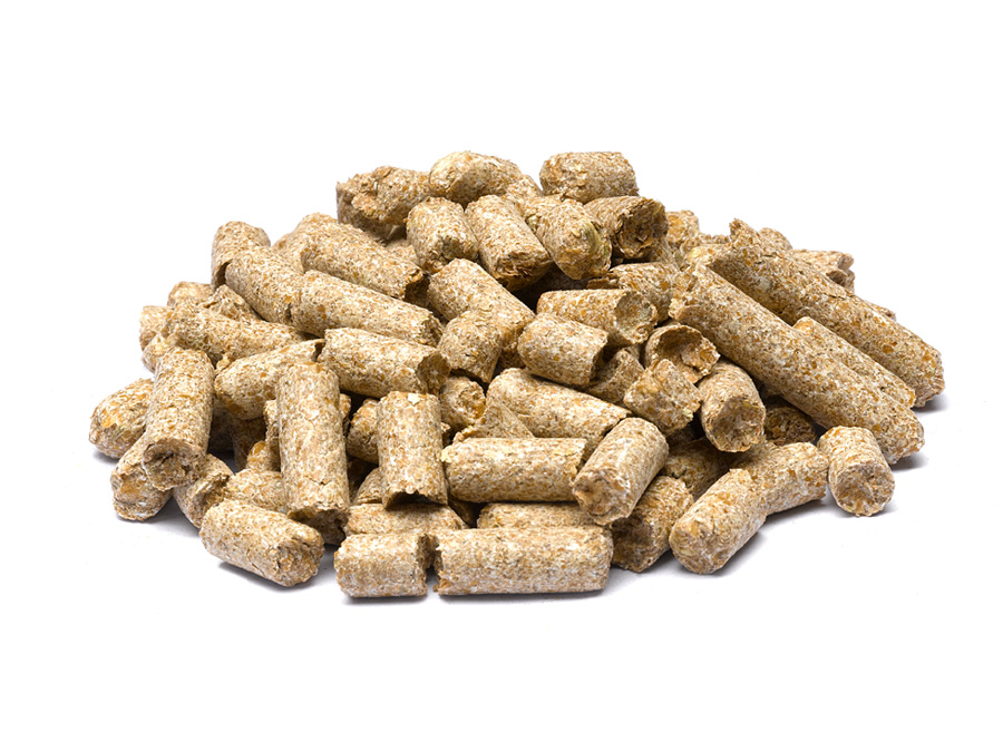 Wheat Feed Pellets Product image