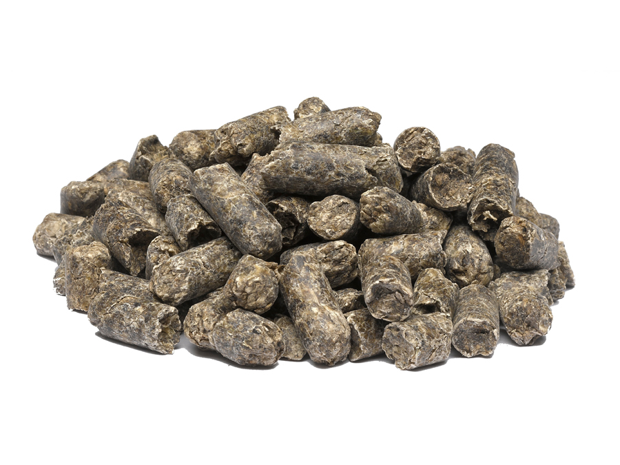 imported-molassed-sugar-beet-pulp