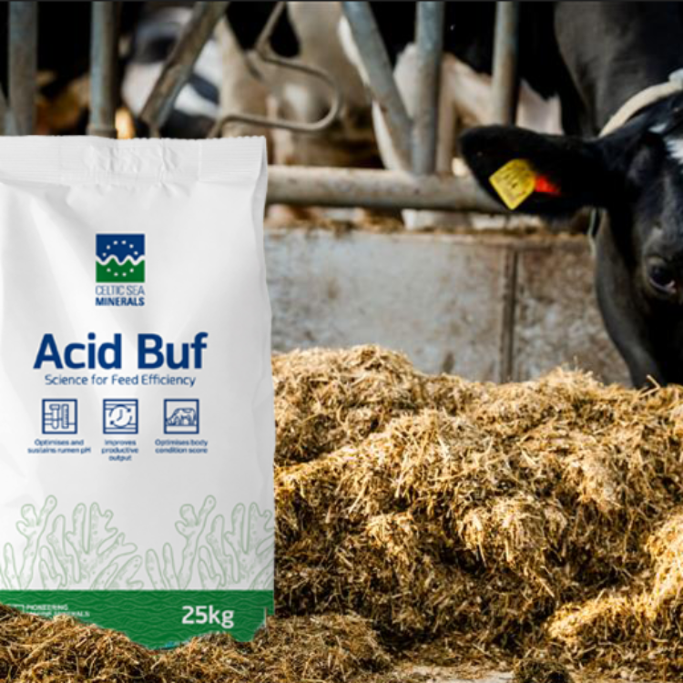 Making the most of grazed  grass at early turnout