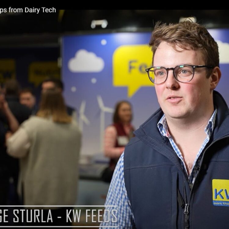 Top Tips from our Sales Specialist George Sturla