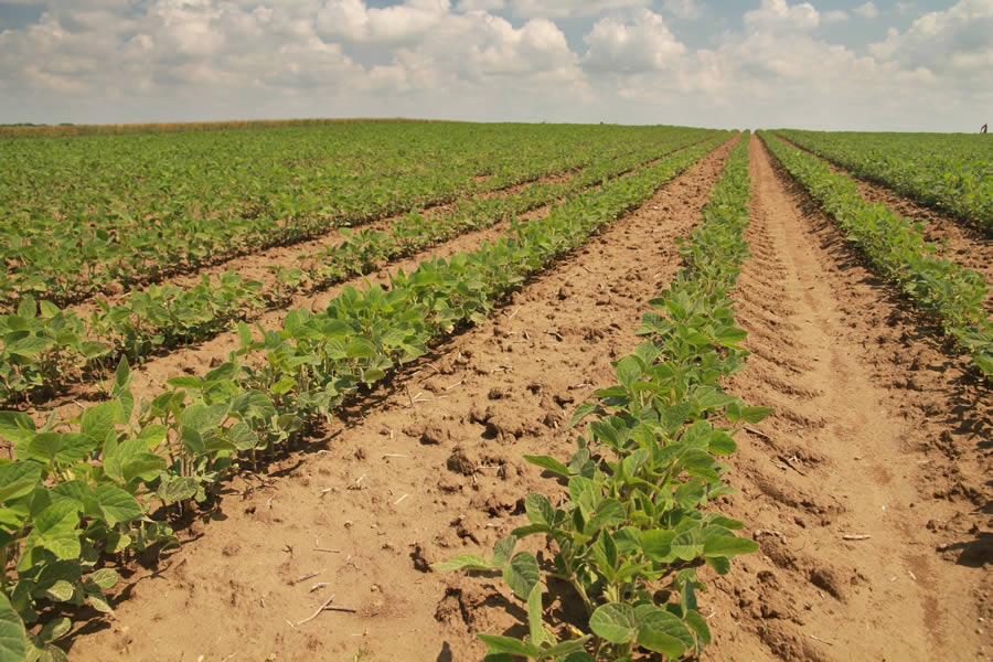 KW FeedCast – 14th February 2025