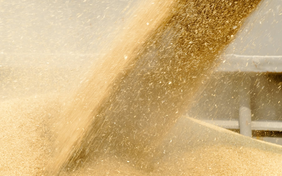 KW FeedCast – 13th May 2025