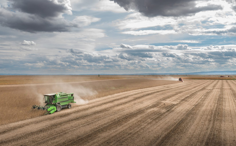 KW FeedCast – 18th June 2025