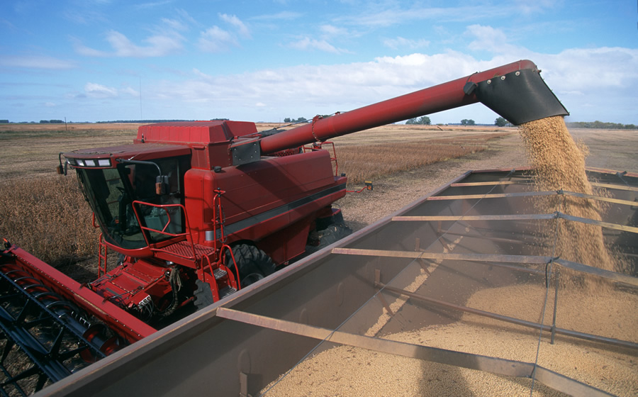 KW FeedCast – 16th July 2025