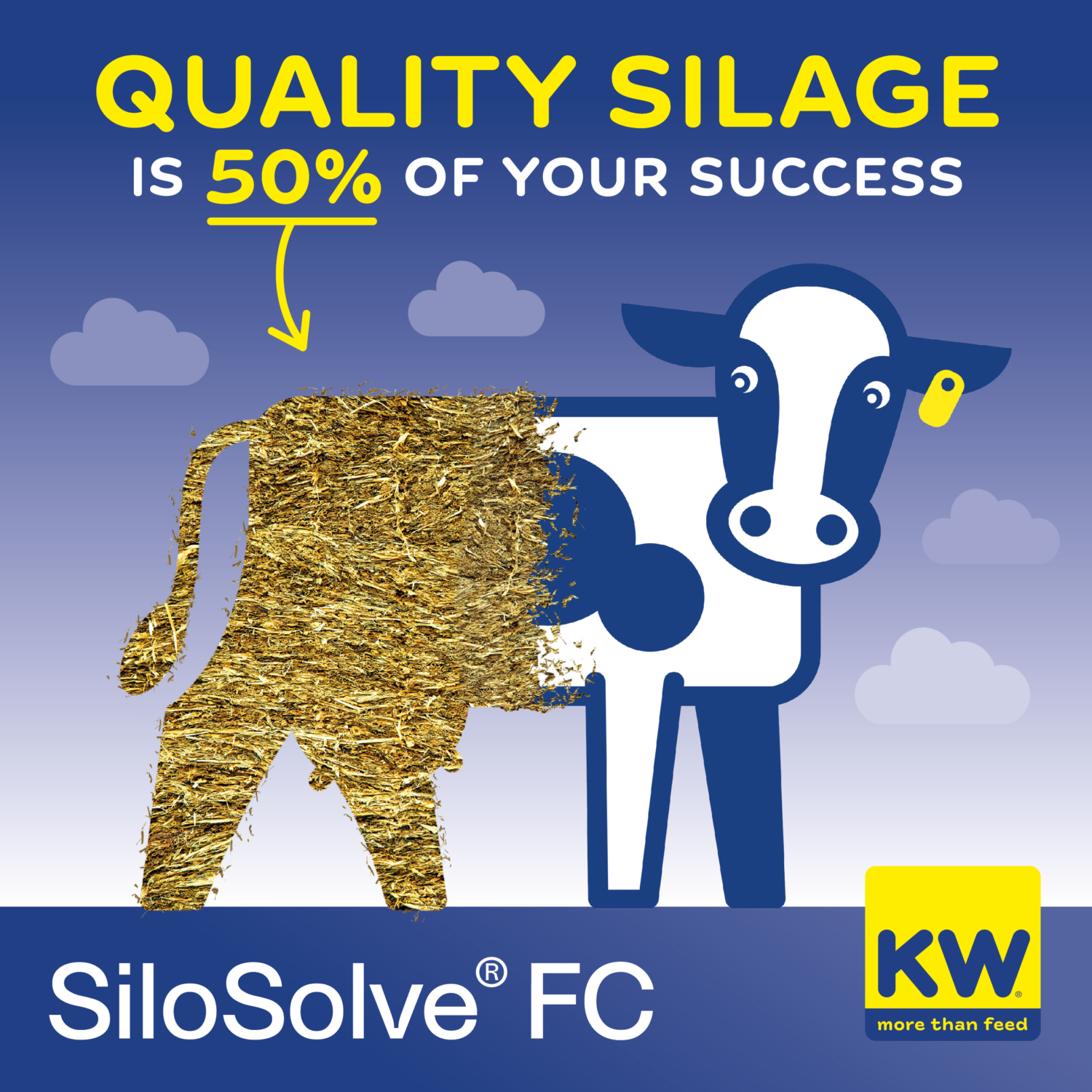 SiloSolve graphic