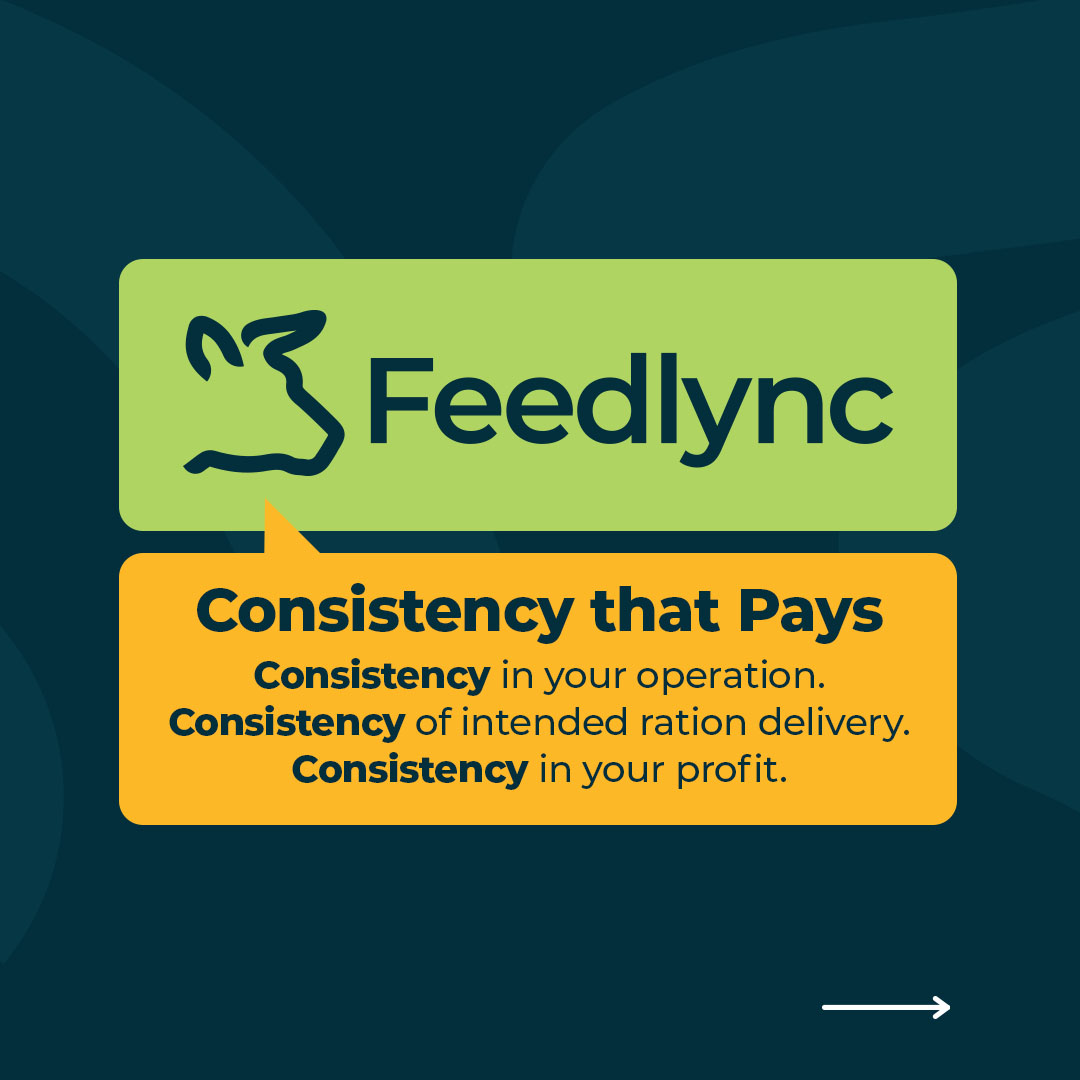 Feedlync logo - consistency that pays